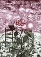 /album/fotogaleria-grafika/malypr4-jpg/